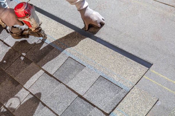 Best Local Roofing Companies  in Boulevard Park, WA
