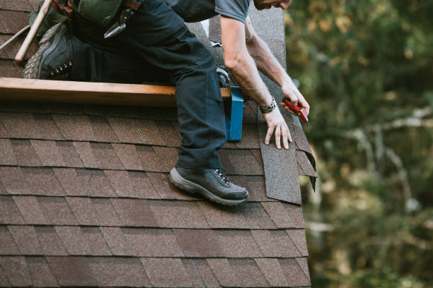 Best Roof Maintenance Services  in Boulevard Park, WA